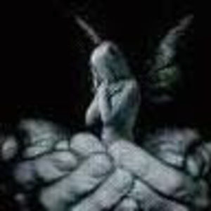 Meet your Posher, Martha